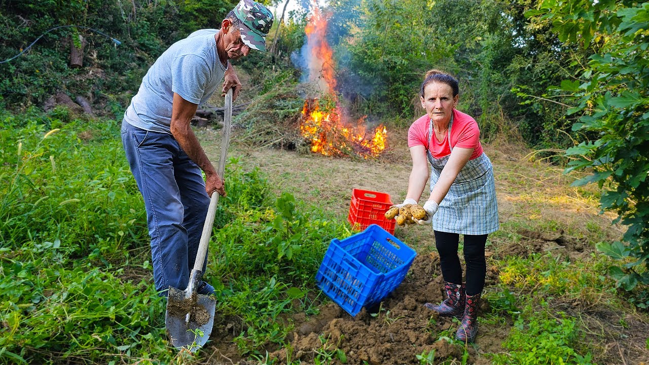 Delicious Moussaka 🍲 with Homegrown Potatoes 🥔🌿