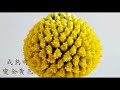 Ivy教你花的事/第24集金杖球(金槌花)#台北花市#ivy歐式花藝教室