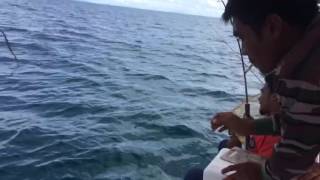 Tuas teluk bayu...tekong paed..pari..8kg600g