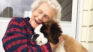 The Huge Dog That Keeps 93-Year-Old Sally Company Every Day | Leash Bond
