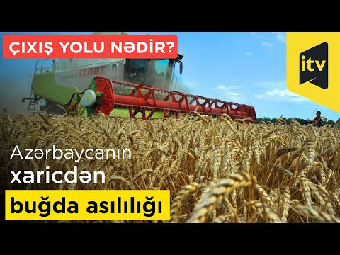 Video: Buğda fyuçers qiymətini necə oxuyursunuz?