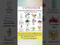 12 способов контролировать голод