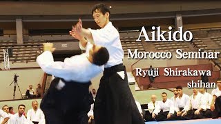 Download Lagu Aikido - Tsuki Techniques Shirakawa Ryuji shihan in Morocco 合気道 白川竜次 先生 MP3
