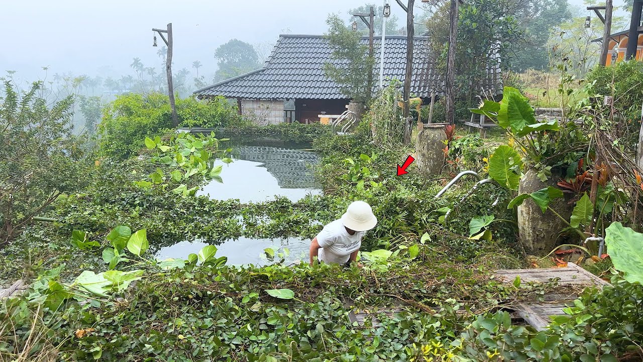 Богатая семья была шокирована тем, что случилось с бассейном в их доме стоимостью 450 000 евро.