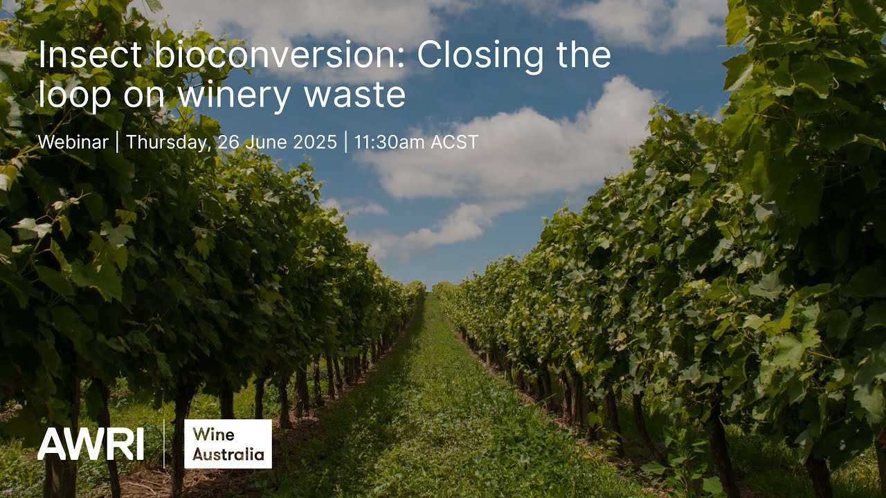 Биоконверсия насекомых: замкнутый круг отходов винодельческого производства