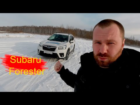 Subaru Forester, Субару Форестер