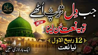 Jashan-e-Eid Milad-un-Nabi ﷺ 2026 | New Special Naat | 12 Rabi-ul-Awal | Heart Touching Kalaam screenshot 5