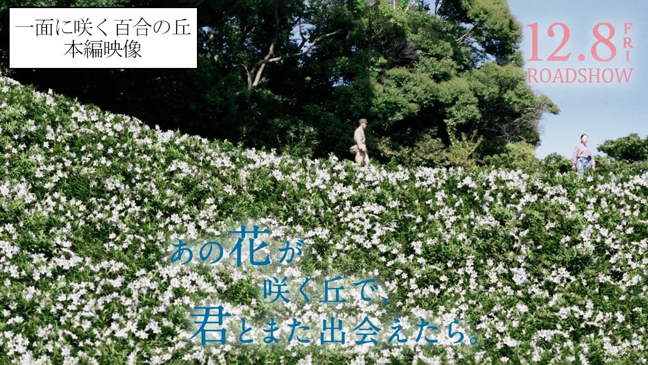 どこまでも続く百合の丘に思わず感動！ 幻想的で壮大な“あの花が咲く丘