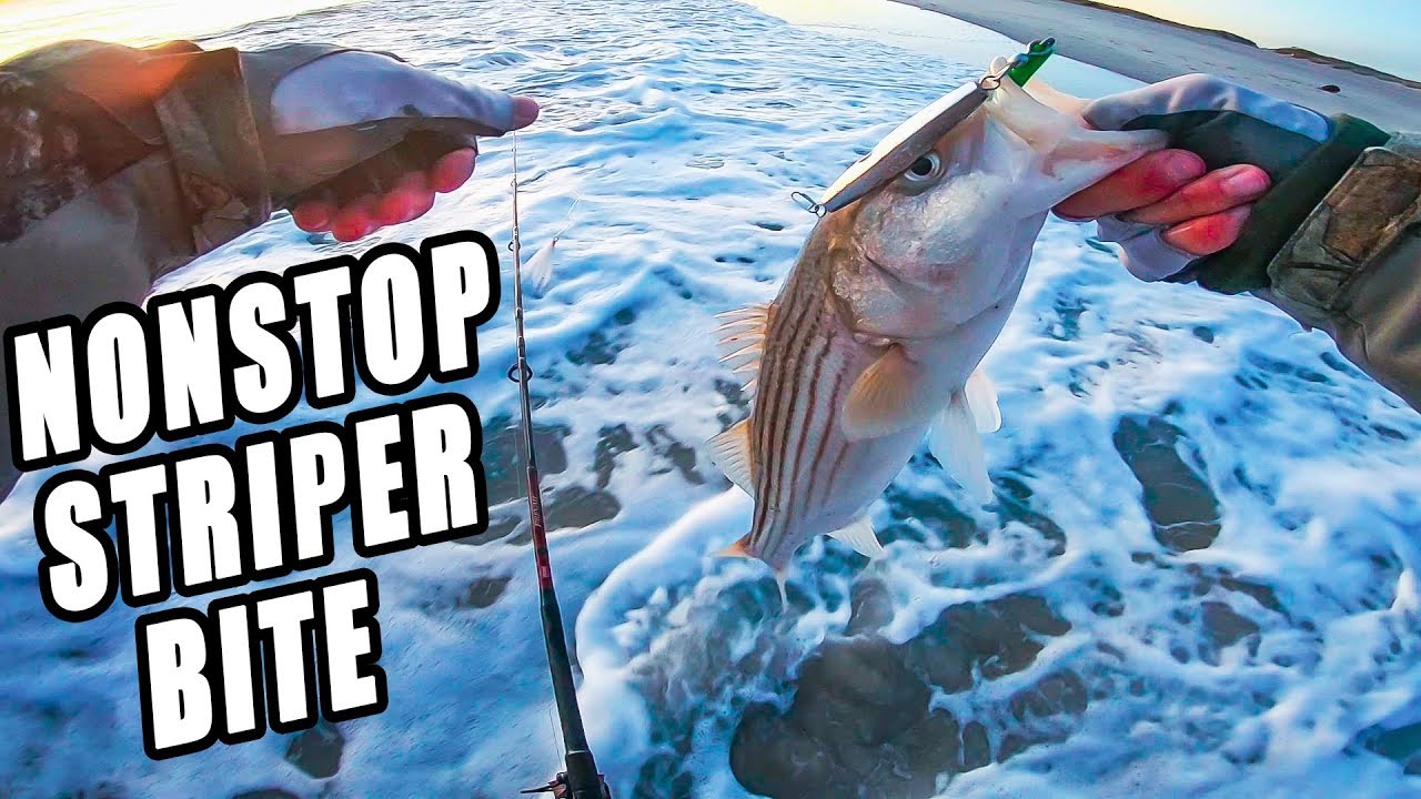 NONSTOP Evening Striped Bass Surf Fishing Fall Run 2019 Long Island
