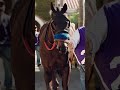 Splendora wins the Breeders' Cup Filly & Mare Sprint 🏇