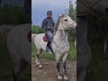 #арабскиелошади #лошади #лошадки #automobile #моялошадь #rek #horse #music
