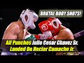 All Punches Landed By A 58 Year Old Legend - Julio Cesar Chavez Sr. On Hector Camacho Jr.