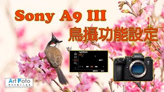 【攝影教學/器材速遞 #397】Sony A9III 鳥攝功能設定 (CC 中文字幕) - Alex Fung FRPS, GMPSA, EFIAP/p