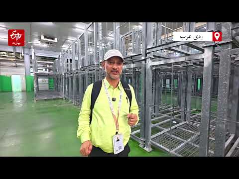 Why is the sacrifice of cows banned during Hajj in Saudi Arabia? Khurshid Wani reporting for TV B...