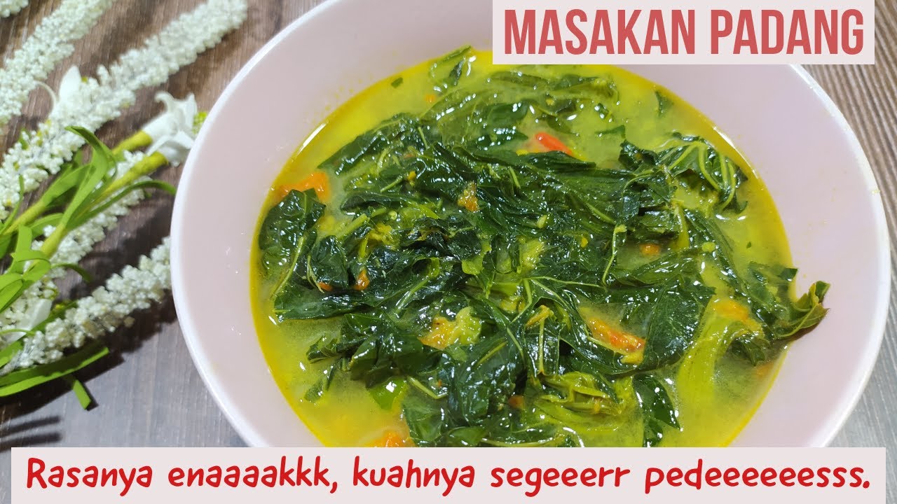 Resep PANGEK PUCUAK DAUN UBI (Masakan PADANG) YouTube Resep PANGEK PUCUAK DAUN UBI (Masakan PADANG) YouTube