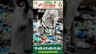 गौ सम्मान आह्वान #cow #gausammanaahvaanabhiyaan