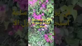 ساعة الاستجابة