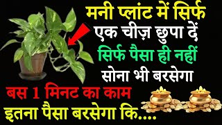 मनी प्लांट में सिर्फ एक चीज छुपा दें सिर्फ पैसा ही नहीं सोना भी बरसेगा #bageshwardhamsarkar #money