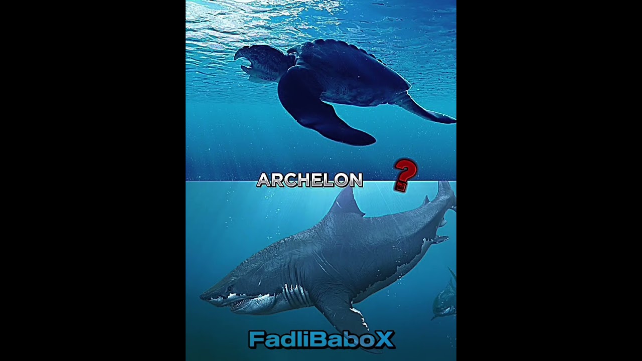 Megalodon VS All Prehistoric Sea Creatures (Part 2) 