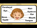 Learn the Basic Parts of the Head | Spell the words | Science for Kids