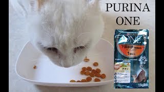 【ネスレ】ピュリナワン下部尿路チキン味キャットフード実食レビュー（PURINA ONE Cat Food Review）