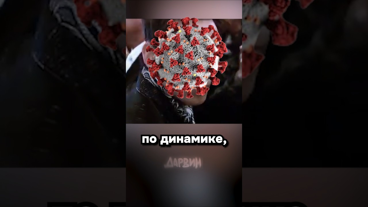 Че там по Хантавирусу (часть 3)