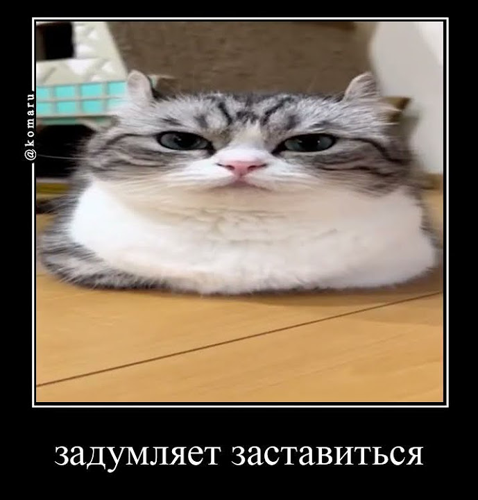 повторение мать учения - YouTube