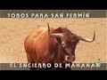 Toros Para San Fermín, El Encierro De Mañana