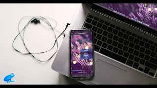 [Workshop #1] Learn how to edit photos with Ribbet screenshot 5