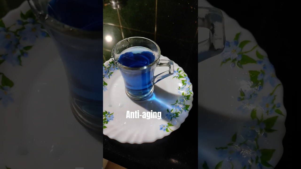 ദിവസവും കുടിച്ചു നോക്കൂ... ശംഖുപുഷ്പം ചായ.#nature#conch flowers# anti-aging