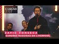 David fonseca  canes nascidas em liverpool  festival da cano 2023