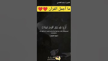 أيات كريمة من سورة المزمل #القرآن_الكريم #holyquran #تلاوات #تلاوة_خاشعة #تلاوة_هادئة #تلاوات_خاشعة