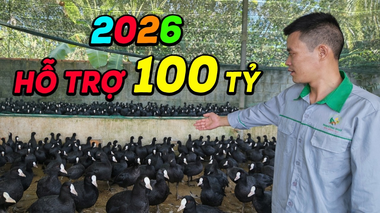 Nuôi Con Gì 2026? Vốn Ít Lời 3 Triệu/Con - Bao Tiêu Xuất Khẩu 100%