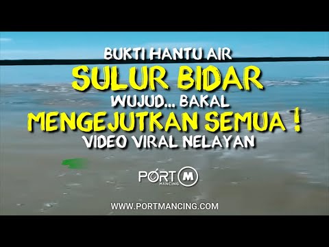 Sulur Bidar Hantu Air Kolam Pancing Leled Samak Fishing Video Pancing Memancing