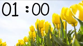 1 Minute Spring 🌷 Countdown Timer With Music Net Worth