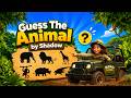 Guess the Animal by the Shadow! Animal Sounds & Quiz Game for Toddlers | DugDugi TV