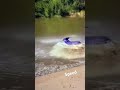Where Is He Subscribe Like Share Where Is He Subscribe Like Share