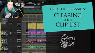 Famous Pro Tools Basics: Cleaning UpYour Clip List Wealth