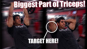 Overhead EZ bar Triceps Extension | Full Tutorial | Long head of the Triceps