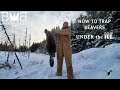 How to Trap Beavers Under the Ice