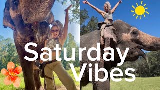 Saturday vibes