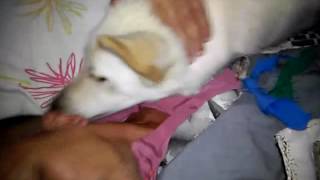 Calcinha Cuidando Da Lua...filha Da Maria Flor.