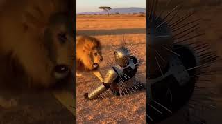 Can This Armor Stop a Lion? (AI Simulation) #shorts
