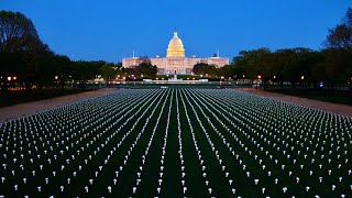 "Every flower is a life that could be saved." | Gun Violence Memorial on the National Mall