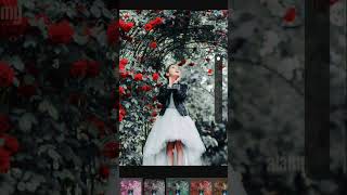 shorts 3dlut App Photo Editinghttpsyoutubeeibarrhyp9g
