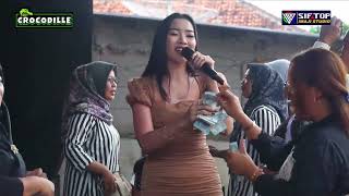 LANANG COBRA - SELLY AMANDA - CROCODILLE Live Cikancas 9 Juni 2025