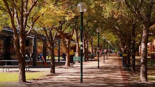 Exploring a regional learning hub