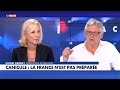 Michel Onfray : «On a fait du climat un enjeu de politique politicienne»
