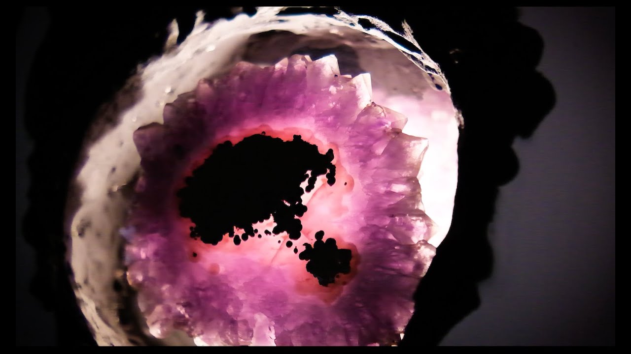 DAN Conversa | Episódio #2: Denise Milan