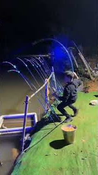 fishing mania Fishing Mania #shorts #shortsvideo